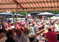 2015-08-09_Hanauer Weinfest-8